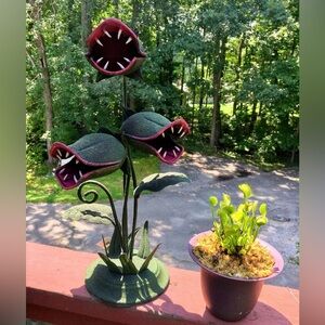 Venus fly trap  Decoration new